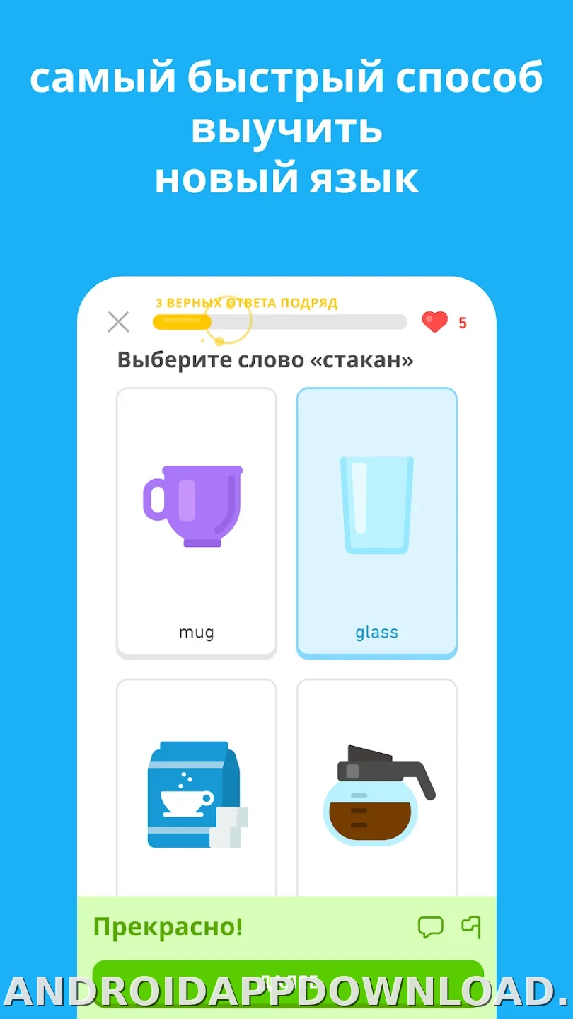 Дуолинго скриншот 5